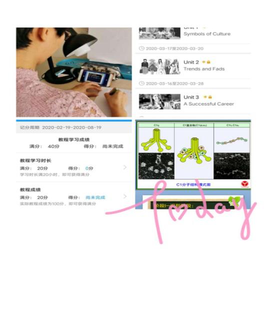 以观摩促教学_共享云端智慧——德甲官方中文网站第一次线上教学观摩课