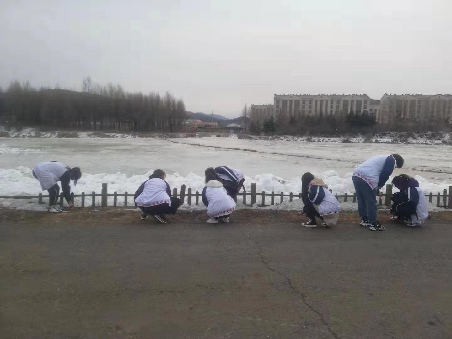 德甲官方中文网站3.5学习雷锋团活