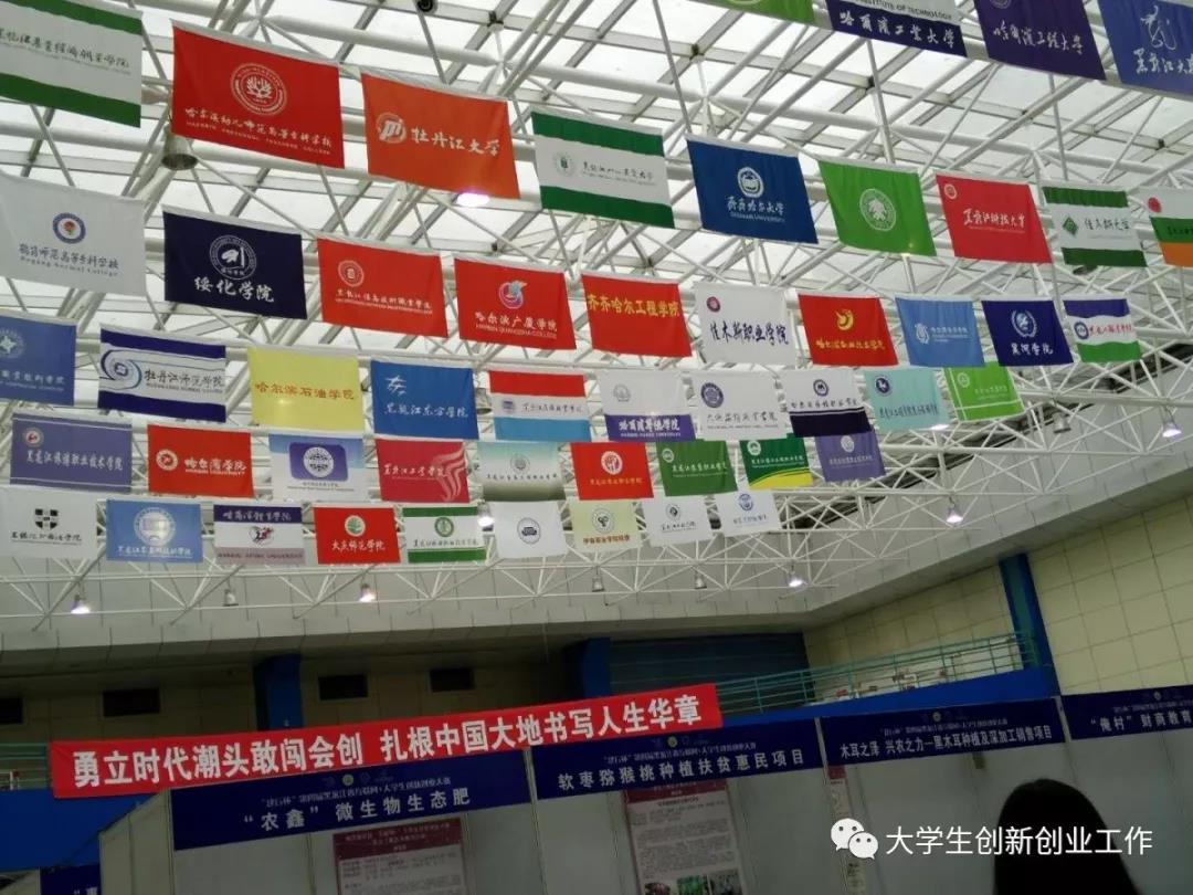 热烈祝贺德甲官方中文网站在省第四届互联网+大赛中再创佳绩
