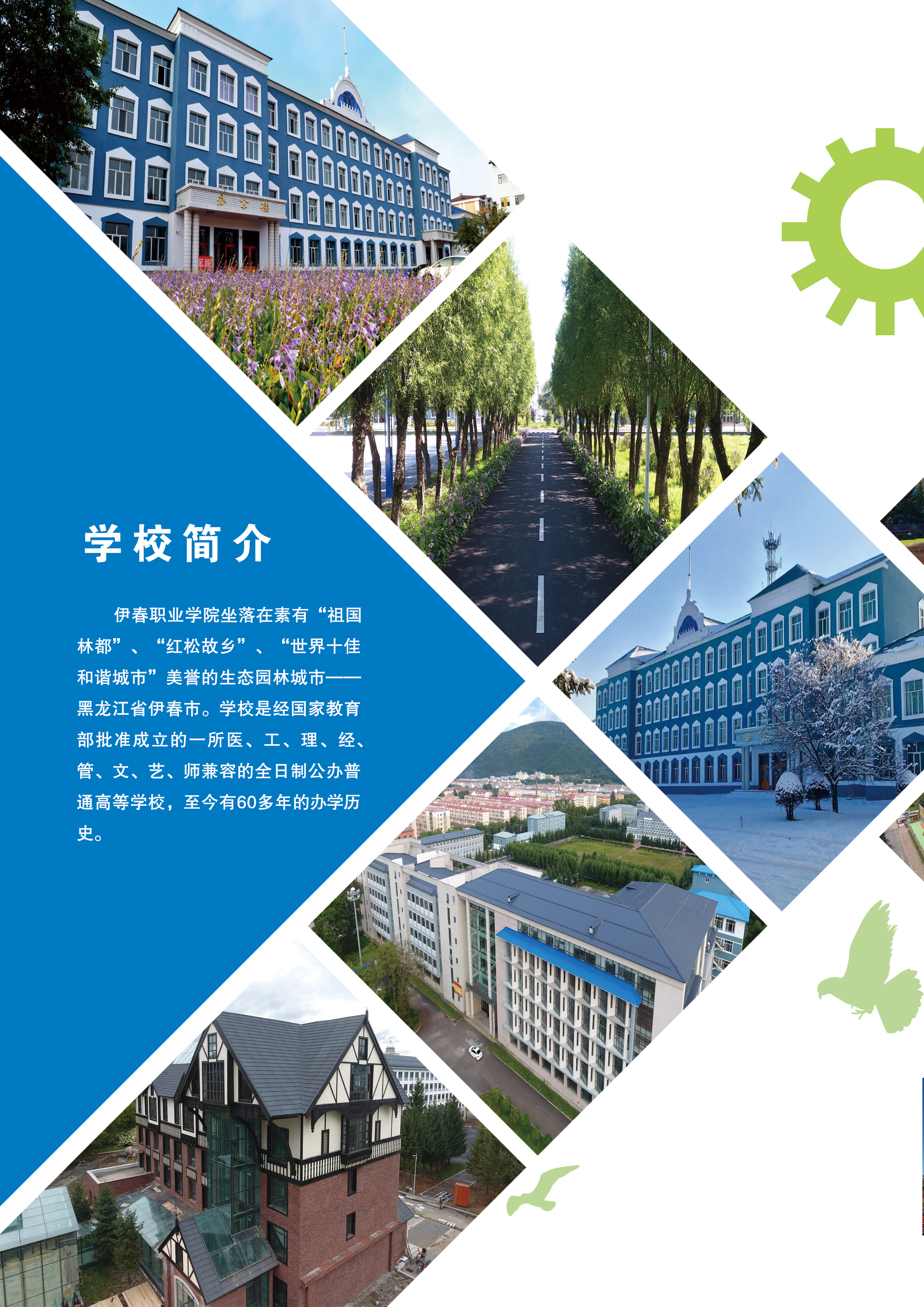 德甲官方中文网站2020年招生简章