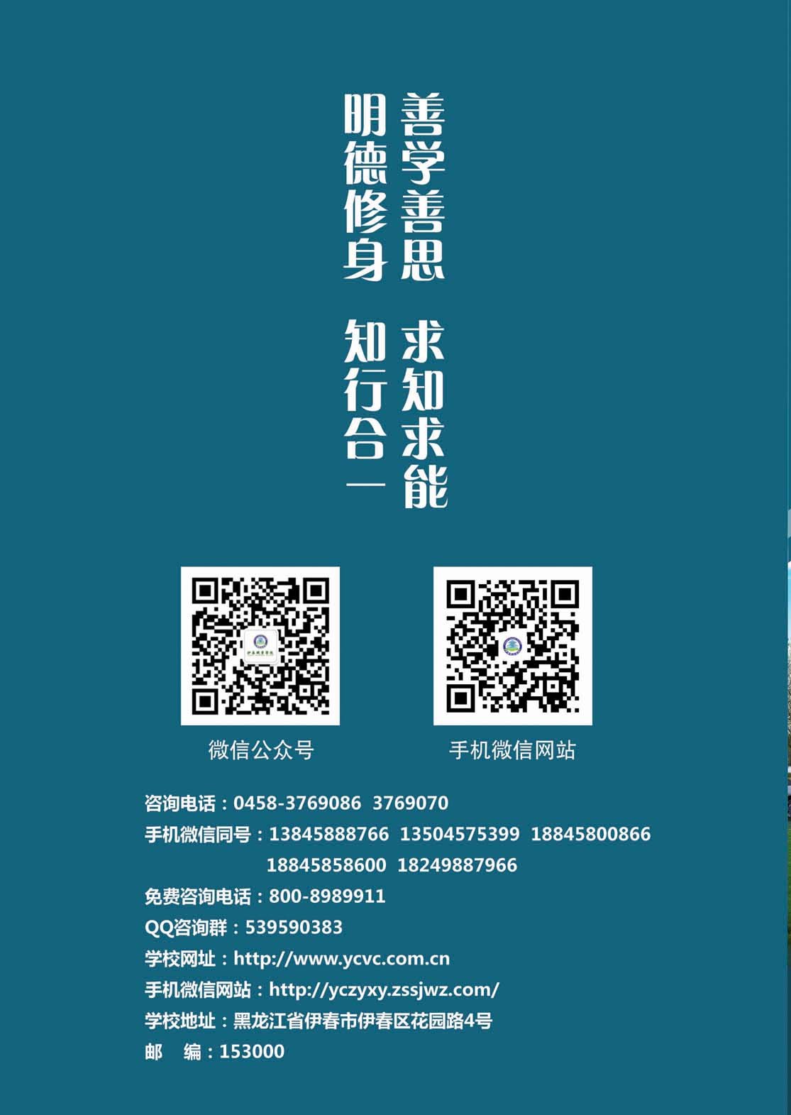 德甲官方中文网站2018年初中起点招生简章